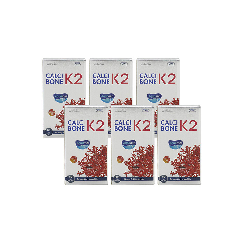 REC-Trường Thọ Pharma- 6 hộp Thực phẩm bảo vệ sức khỏe Calci Bone K2 (60 viên/ hộp) + 2 hộp TPCN Ginkgo & Nattokinase 120(30 viên/hộp)