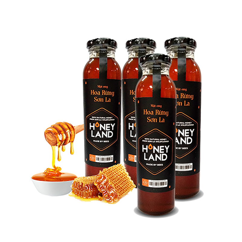 TGHoney - Combo 4 chai mật ong hoa Rừng Sơn La 470g/chai + Tặng 2 chai mật ong Nam Cát Tiên 730g/chai + 2 lon cá Sardine sốt cà 155g-85g