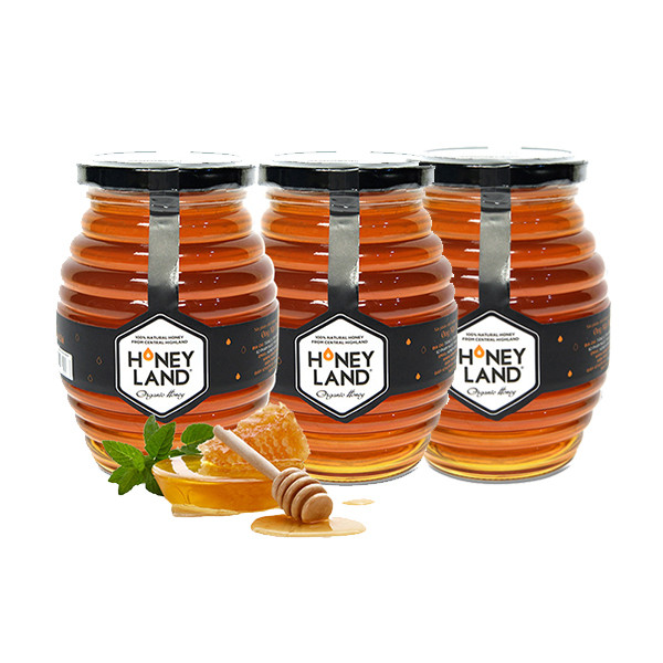 TGHoney - Combo 3 hũ mật ong xuyến chi 500g - Tặng 2 chai mật ong Nam cát tiên 520g + 1 hũ mật ong rừng 250g