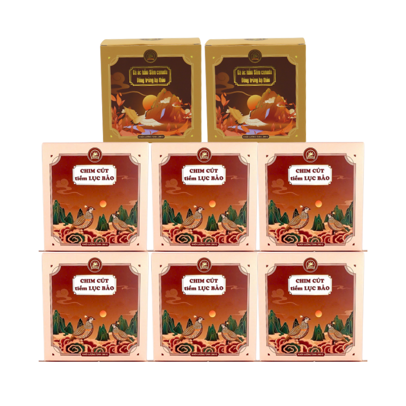 REC - PK - HEALWA - 6 Chim cút tiềm lục bảo (280gr/hộp) + 2 Gà ác hầm sâm Canada đông trùng hạ thảo (280gr/hộp)