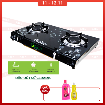 R-Galen-Bếp gas đôi hồng...