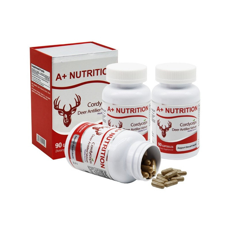 REC_Nature Gift_ Combo 3 hộp TPBVSK A+ Cordyceps viên đông trùng hạ thảo nhung hươu (90v/ hộp) + 1 hộp cùng loại + 1 Bộ ly Nature Gift