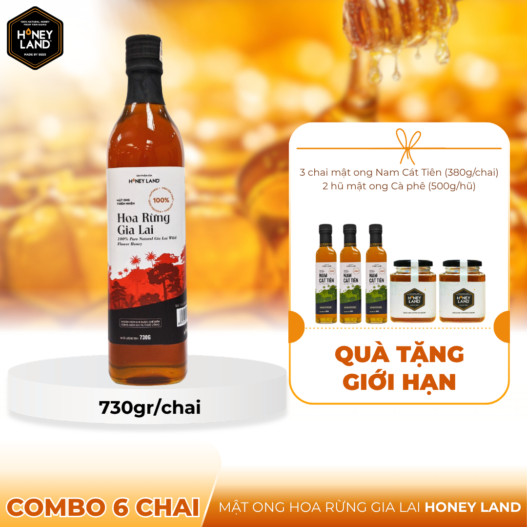 R_TGHoney_6 chai mật ong gia lai 730gr +  3 chai mật ong Nam cát tiên 380g + 2 hũ mật ong cà phê 500g