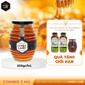 TGHoney - Combo 3 hũ mật...