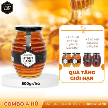 REC_HONEYLAND - Combo 4 hũ...