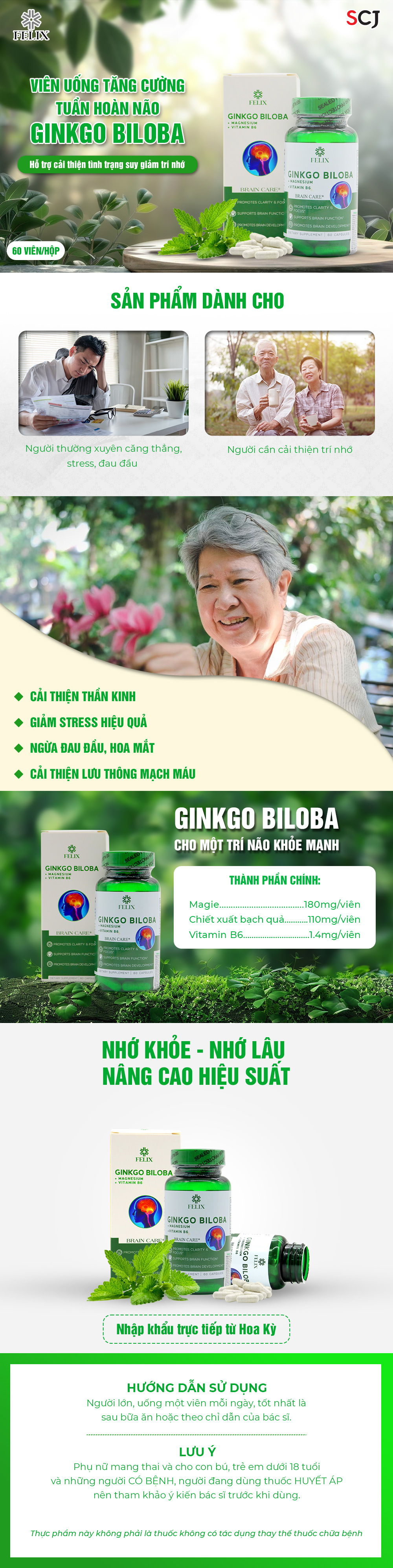 Ginko-Biloba_mota_1000x--.jpg