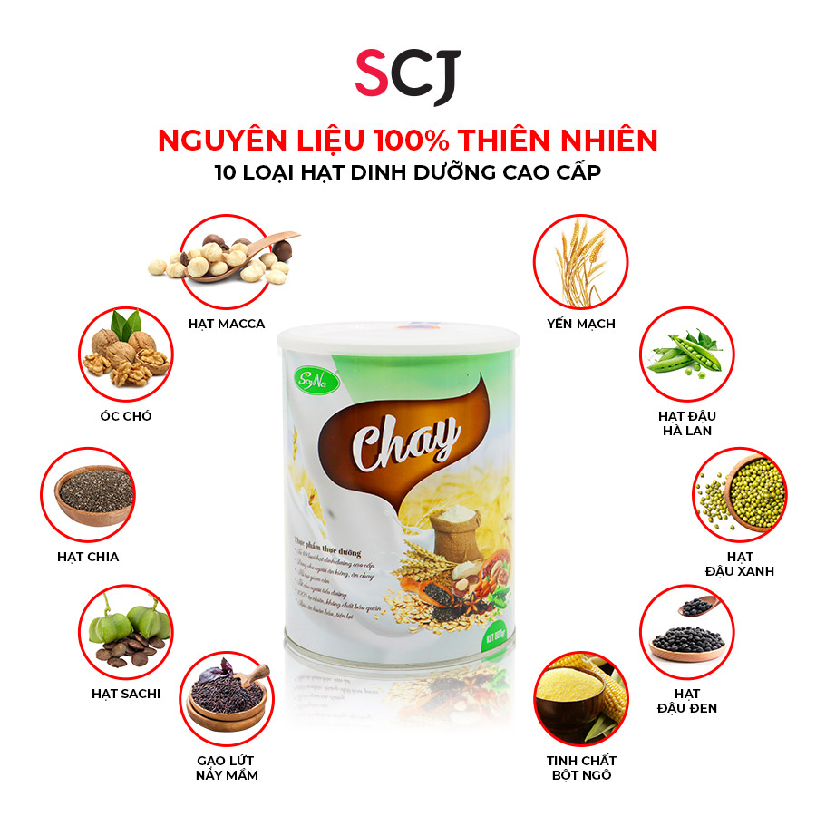 mô tả sữa chay