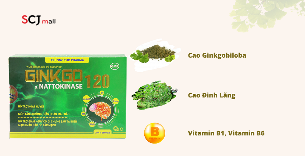 Truong-tho-pharma-ginkgo-nattokinase-120-2_1656399184.png
