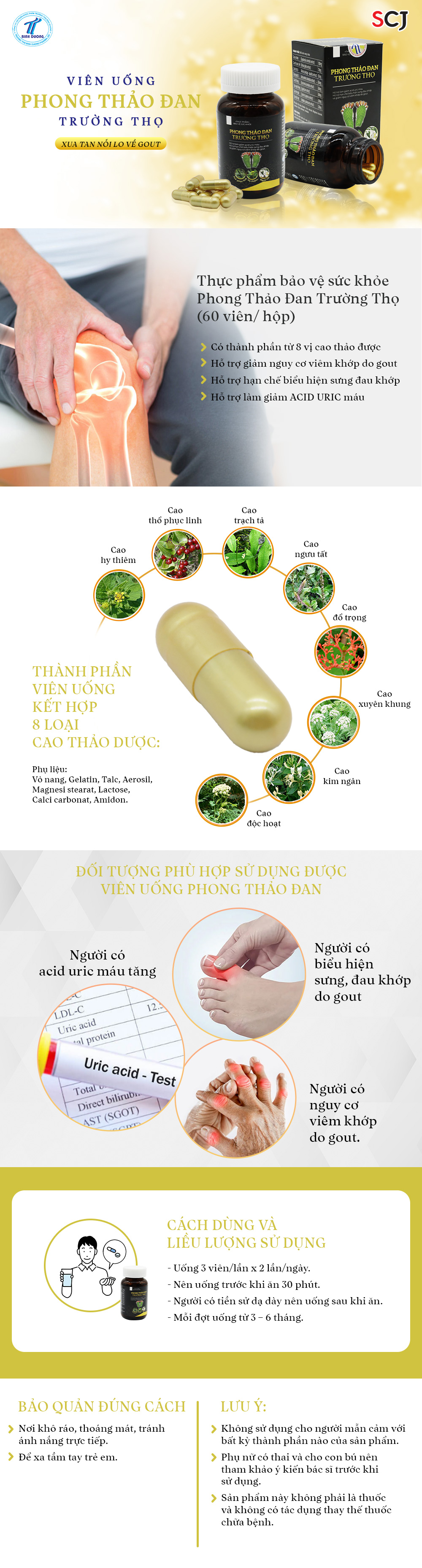 mô tả phong thảo đan
